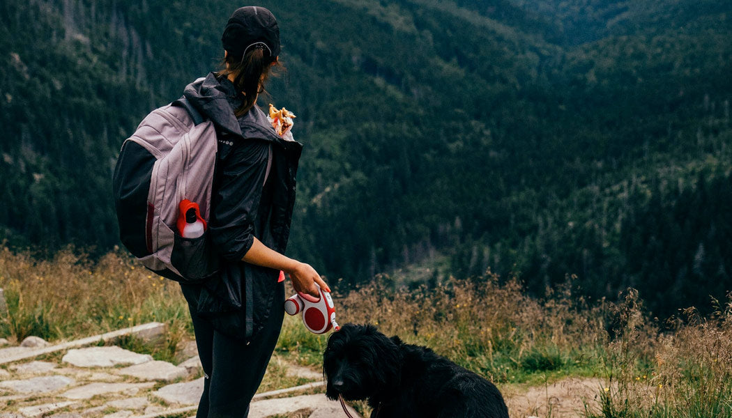 hiking with dog