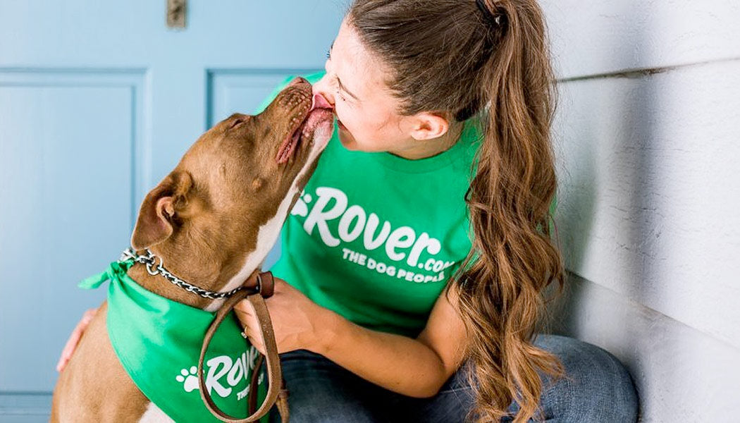 Rover dog with owner - 10 Best Apps for Dog Owners