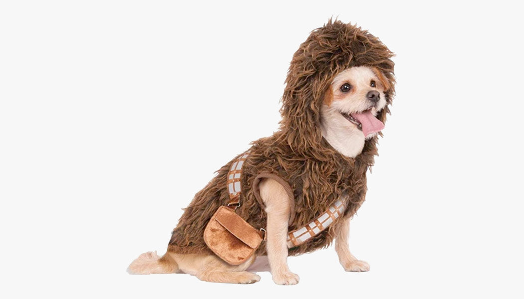 A dog wearing a Chewbacca costume