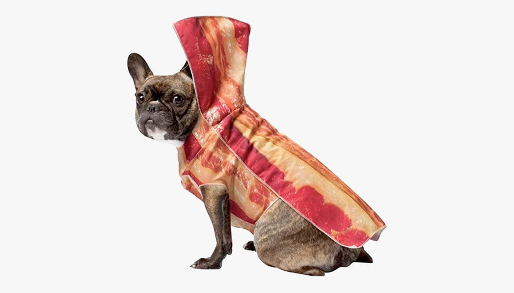 A dog wearing a bacon costume