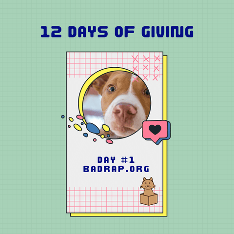 Poster - Dope Dog's 12 Days Of Giving 2022