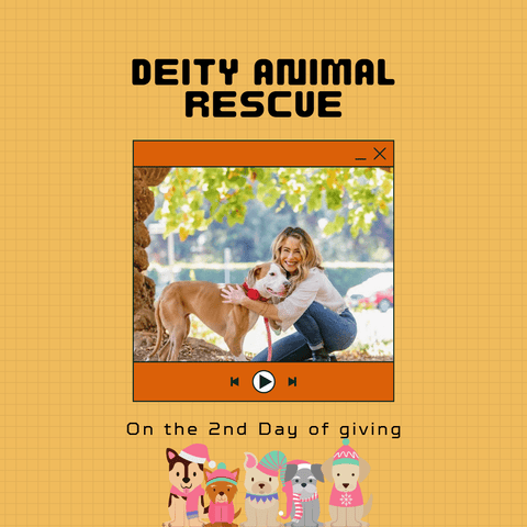 Deity Animal Rescue - Dope Dog's 12 Days Of Giving 2022