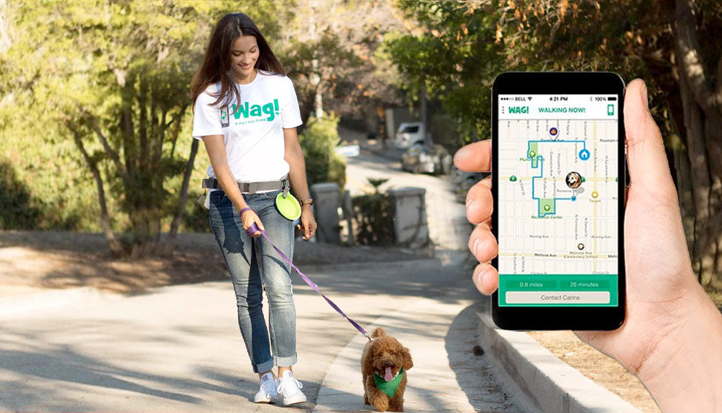 WAG app - 10 Best Apps for Dog Owners