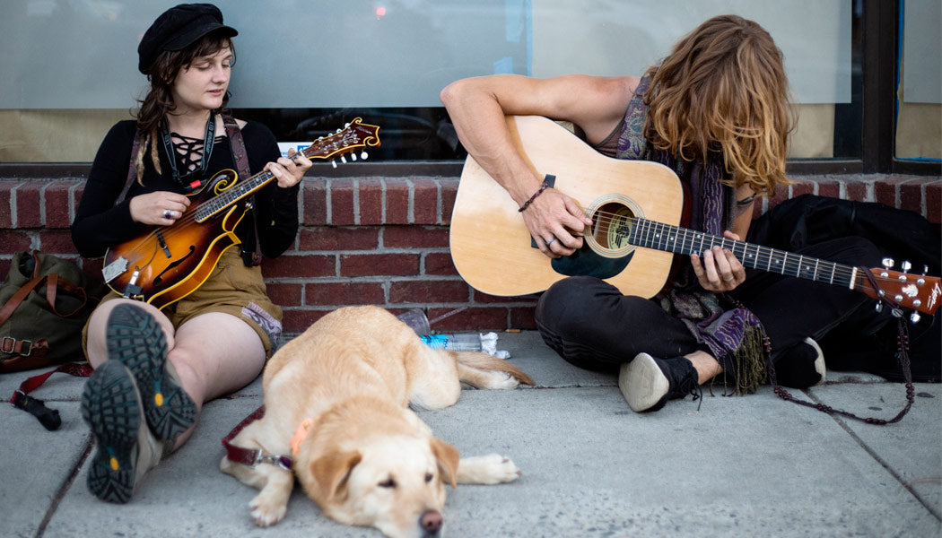 2 people doing music therapy on a dog - 9 Best Ways To Calm Your Dog