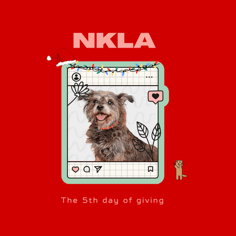 NKLA - Dope Dog's 12 Days Of Giving 2022