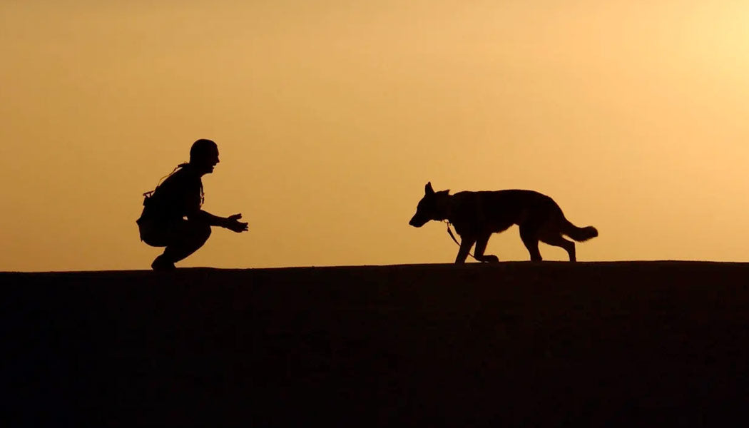 Owner and Pet silhouette 