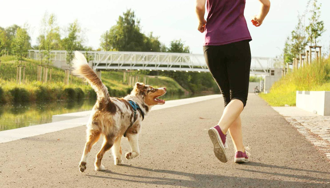  una mujer y un perro saliendo a dar un paseo