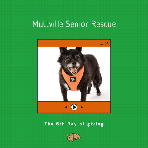 Mutville Senior Rescue