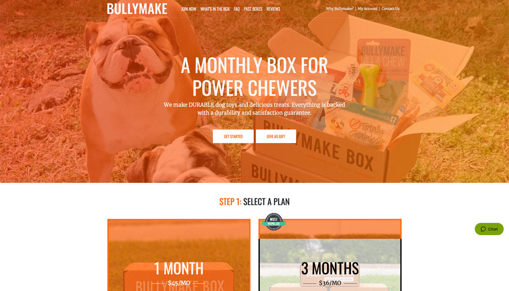 Bully Make Website