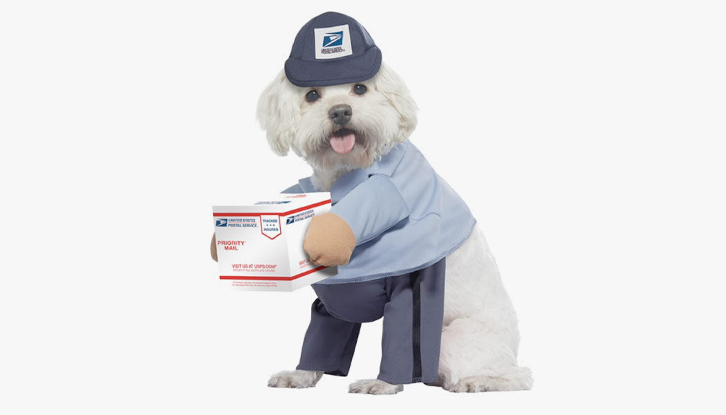 A dog dressed as a mailman for Halloween