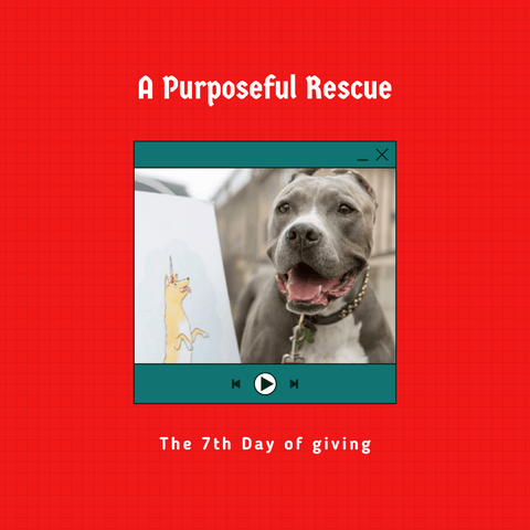 A purpose rescue