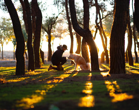 Dog owner and dog in the park