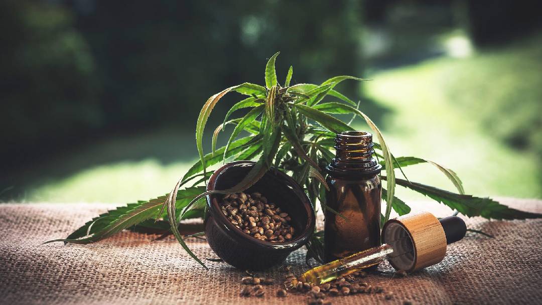 bottle of CBD oil with seeds and leaves