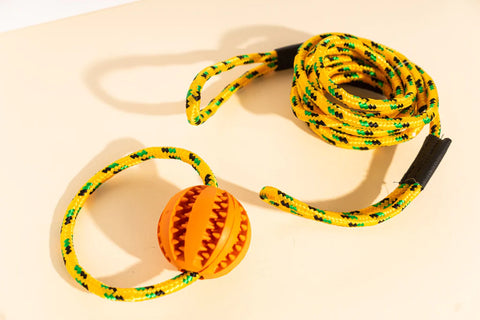 Ball on a rope - Best Gifts For Your Dog 2022