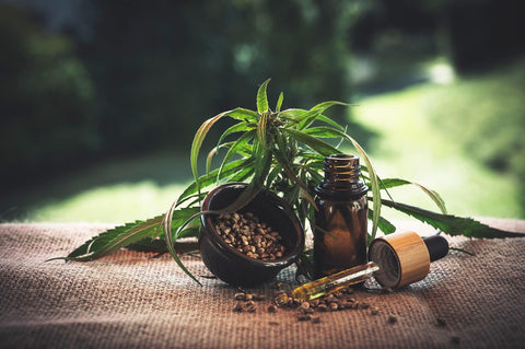 A variety of CBD hemp products