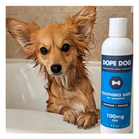 A wet dog in a bathtub next to a bottle of Dope Dog's Soothing Suds CBD Shampoo.