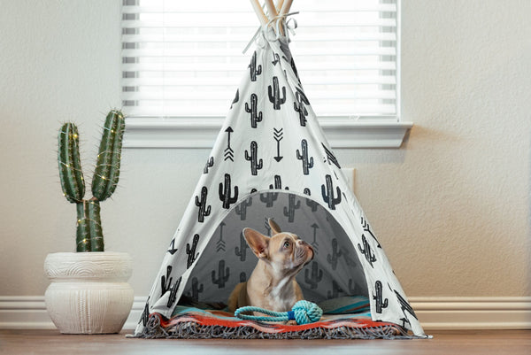 Dog inside a tent - Can Dogs Eat Bean Sprouts