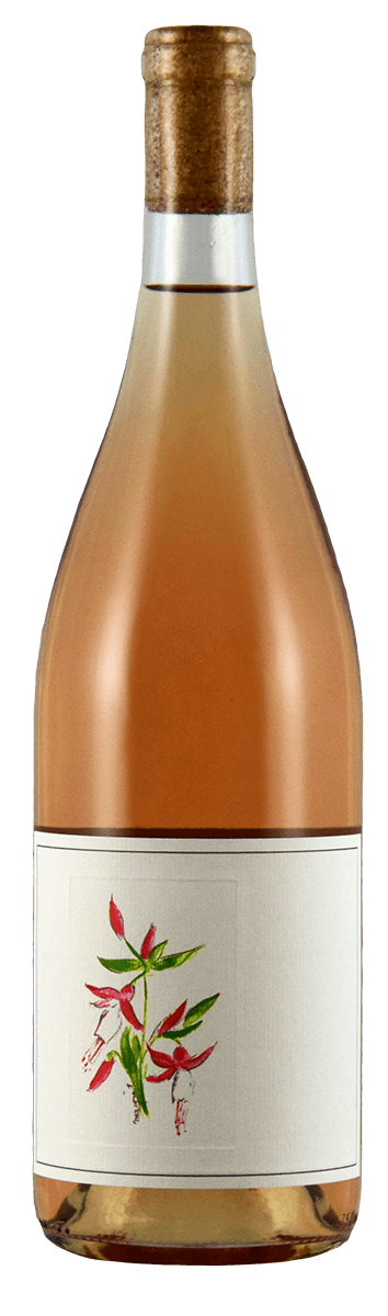 Wines Rosé