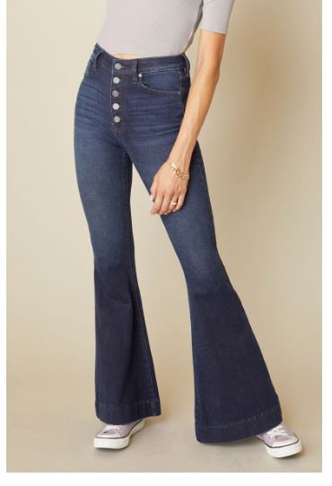 Carina High Rise Flare Jeans – Nidys Closet