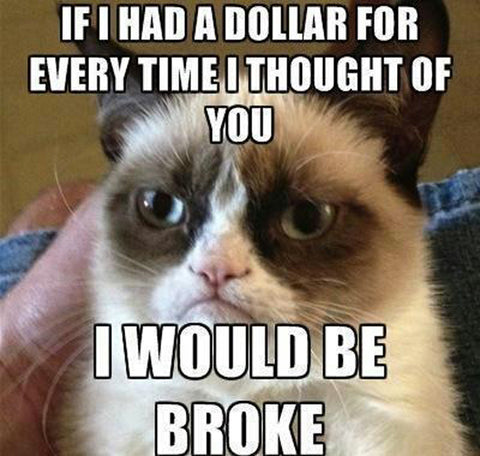 grumpy-cat-meme-kittysensations