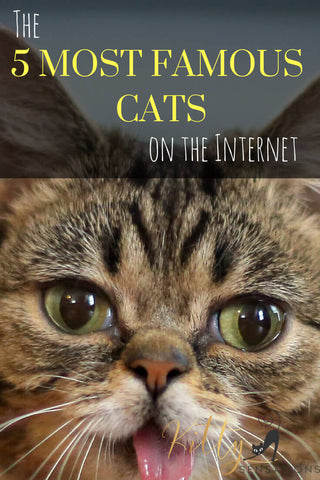 5-most-famous-cats-on-the-internet-banner-kittysensations