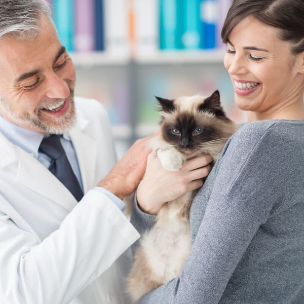 cat being held by women while being stroked by doctor
