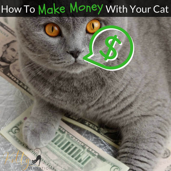 how to make money with your cat header picture
