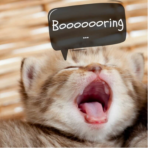 yawning kitty saying boring kittysensations