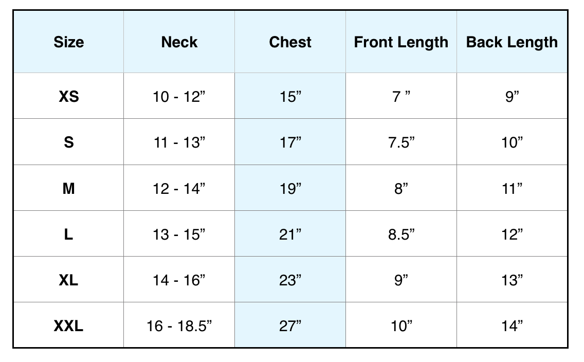 Express Sweater Size Chart