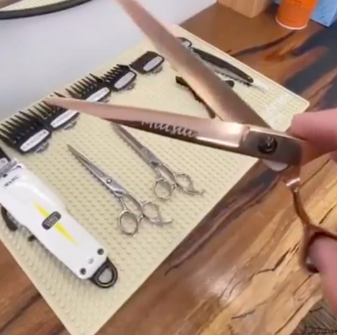 How to hold hairdressing scissors like a professional - Scissor Tech USA