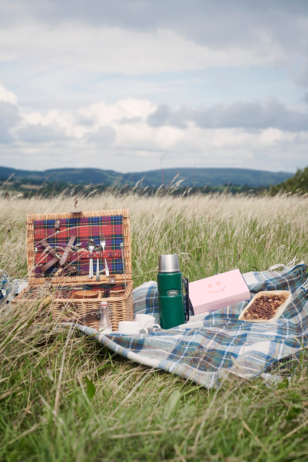 Picnic on a field