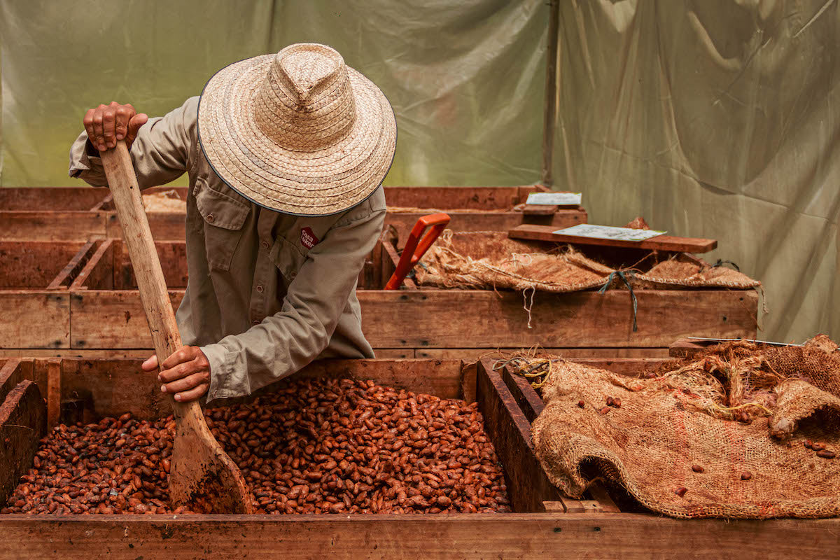 Casa Luker Chocolate