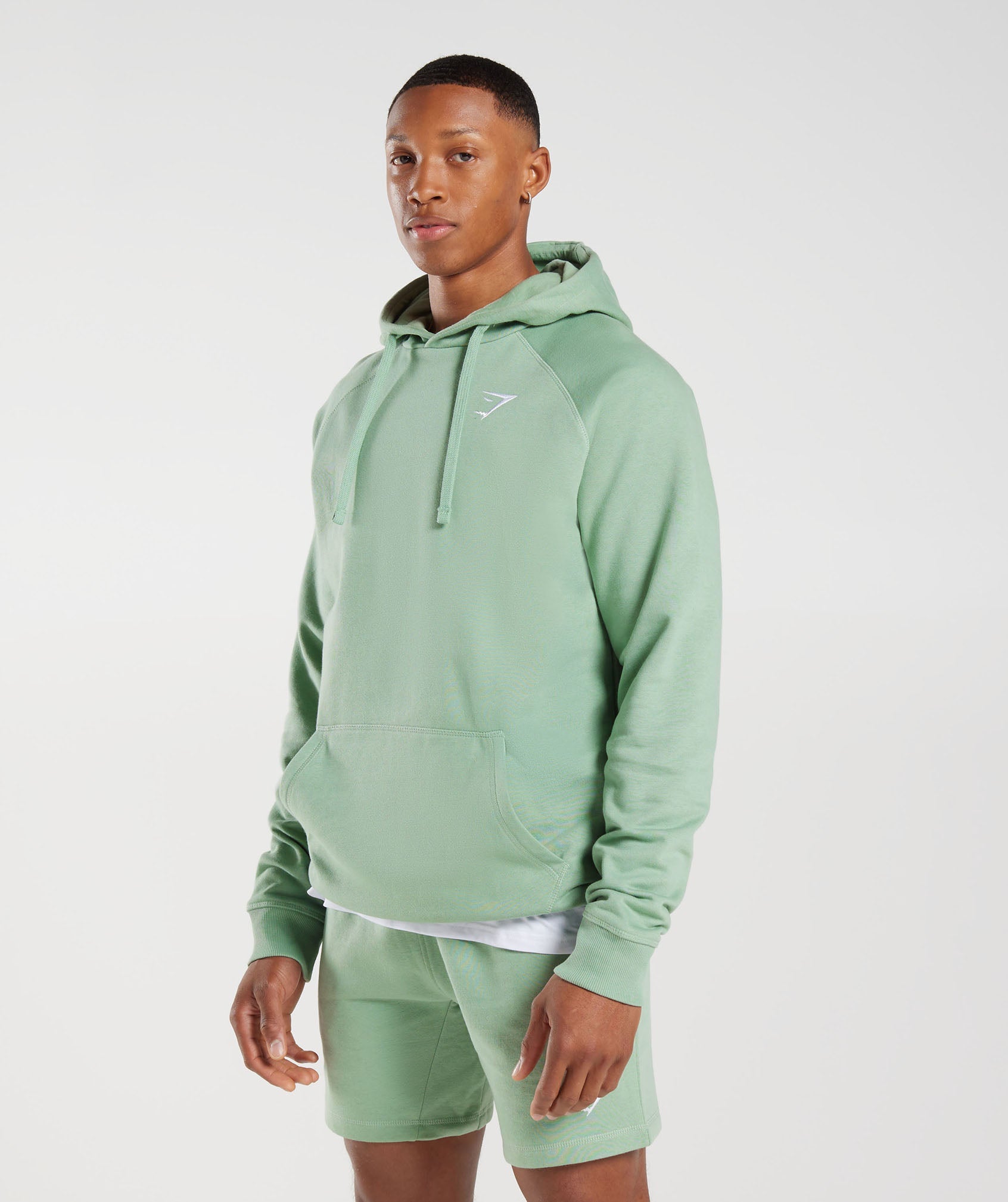 Crest Hoodie in Desert Sage Green - view 3