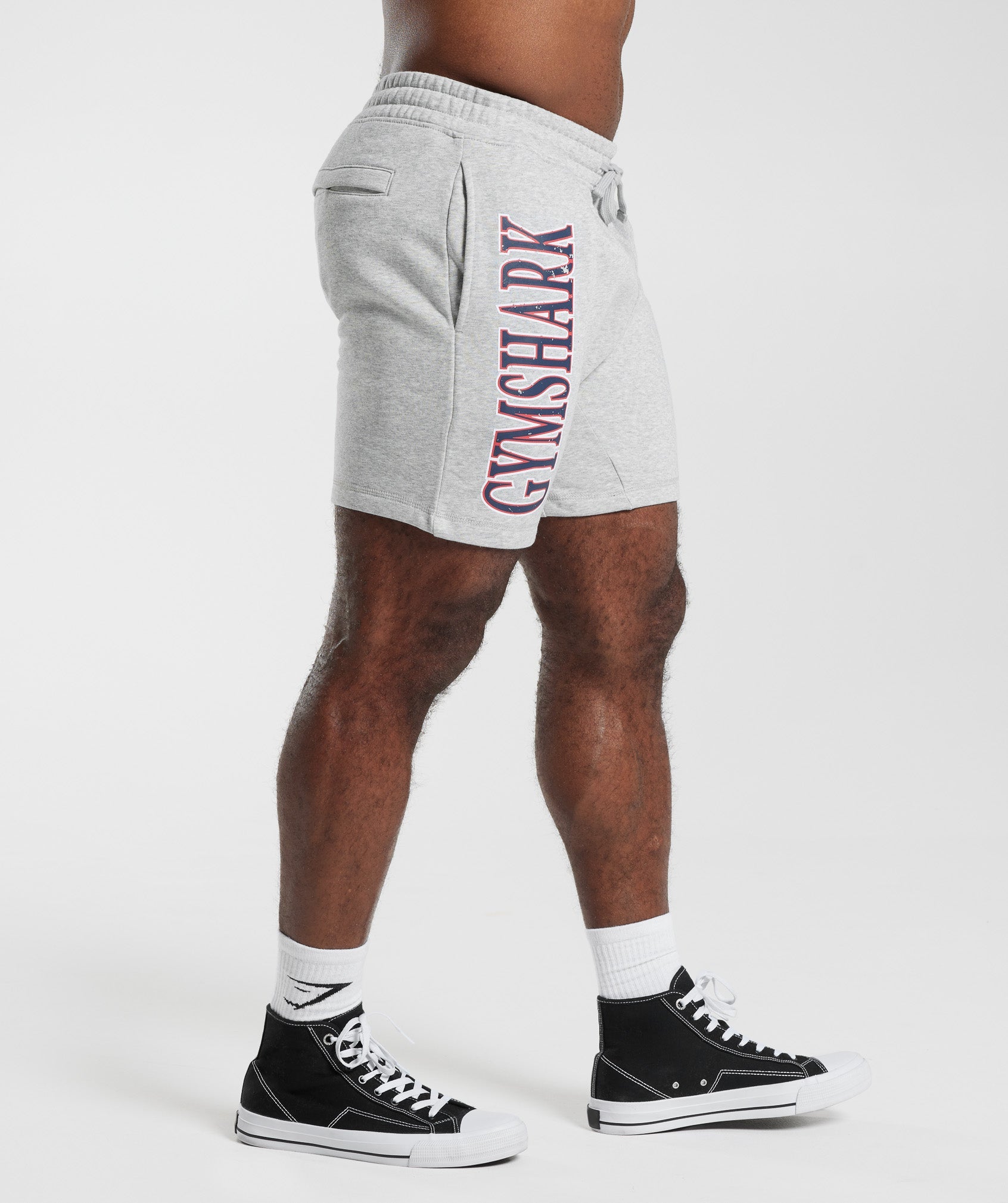 Retrowave Shorts in Light Grey Core Marl - view 3