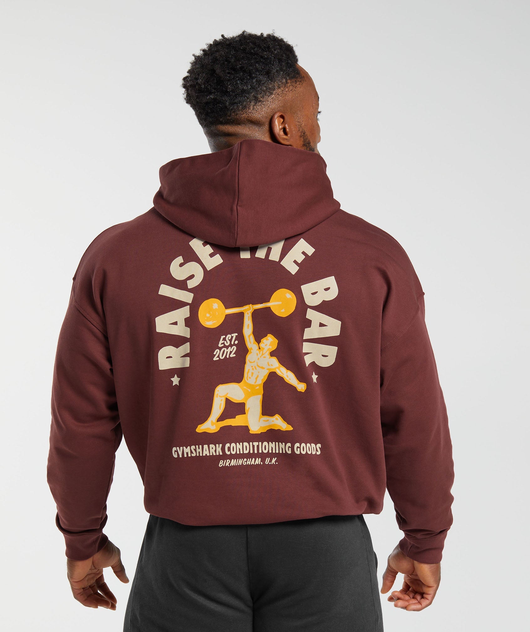 Raise the Bar Hoodie in Burgundy Brown - view 1