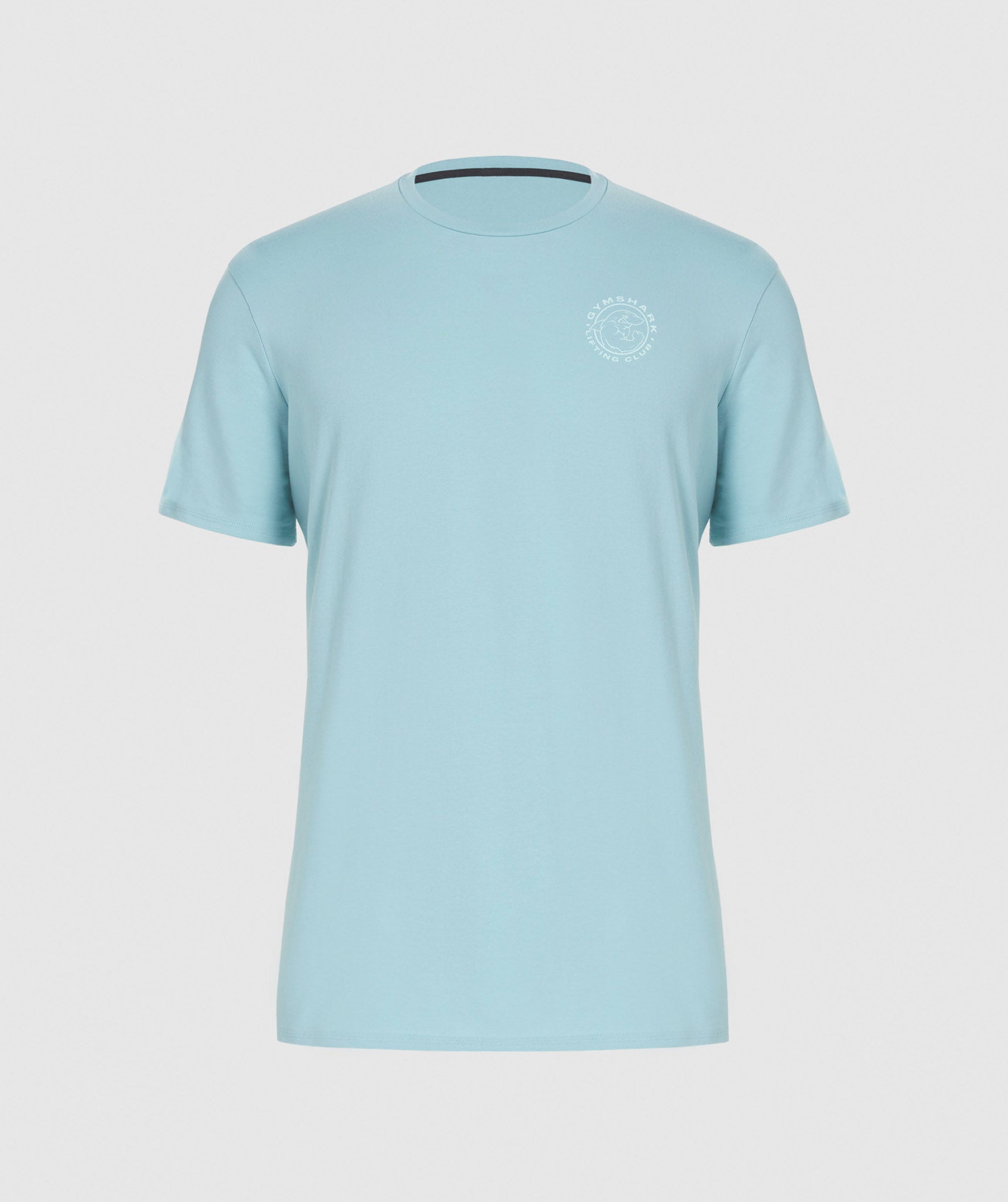 Legacy T-Shirt in Iceberg Blue - view 3