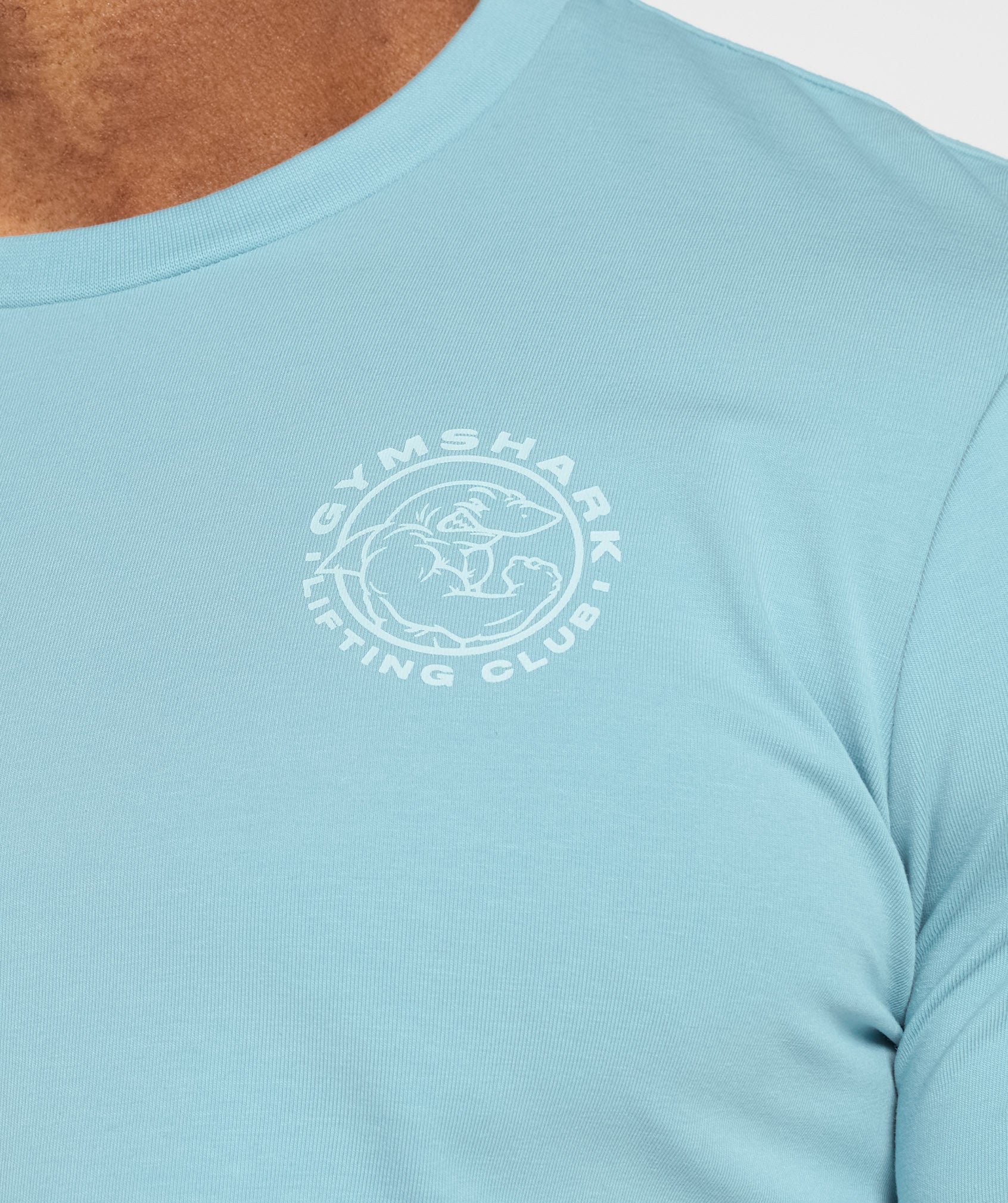 Legacy T-Shirt in Iceberg Blue - view 7