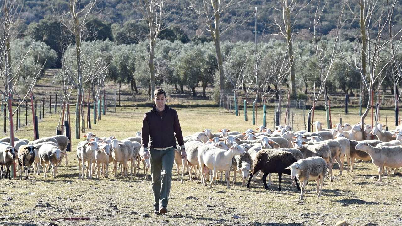 Jesus Alonso en Pago Valle de los Molinos