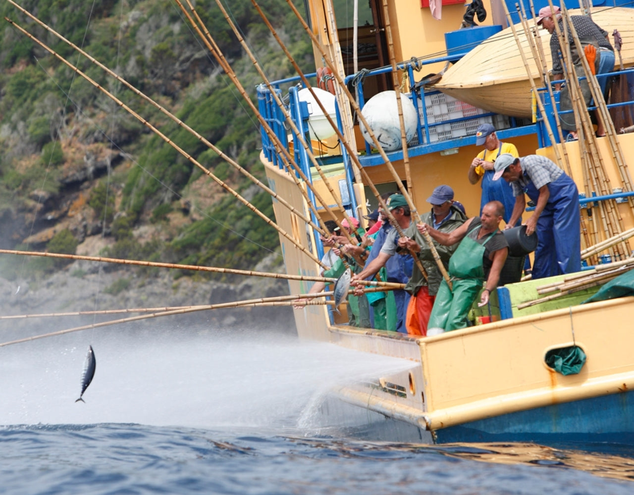 Thunfischfang mit Haken und Leine auf den Azoren