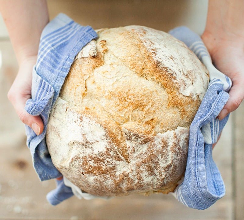 Masa Madre Natural: todo lo que debes saber