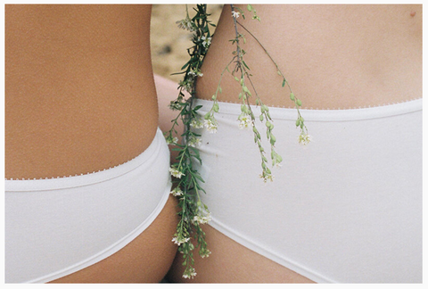 elliot organic underwear in white