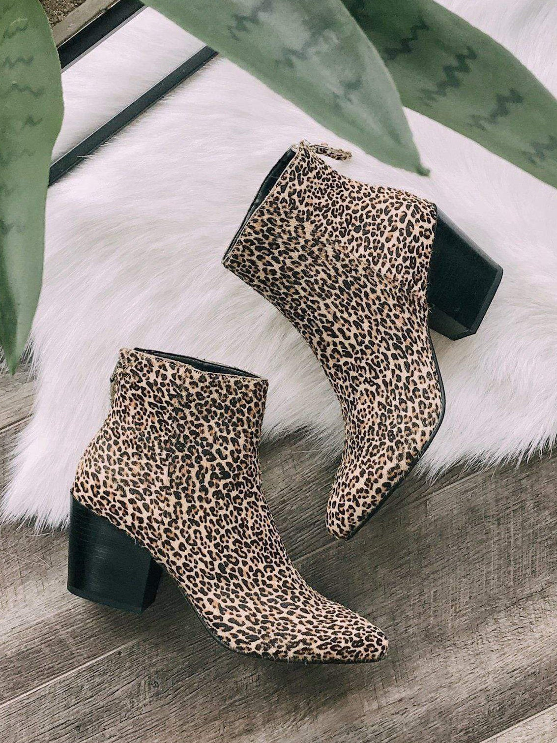 dolce vita leopard booties