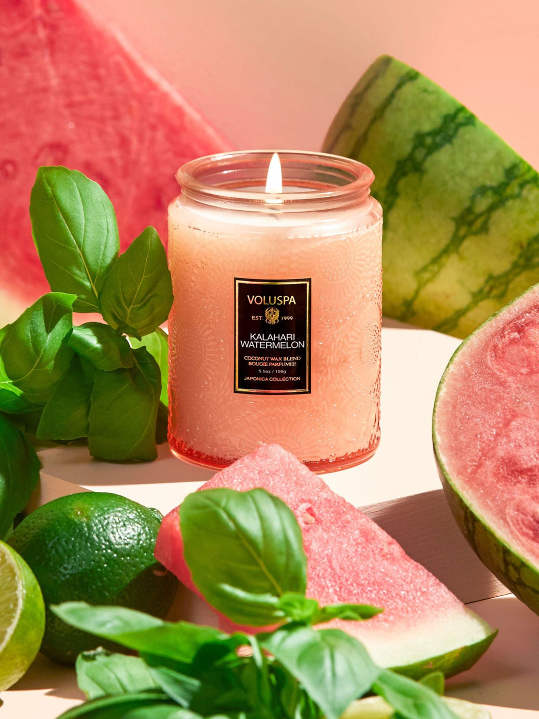 Voluspa-Voluspa Kalahari Watermelon 5.5oz Small Jar Candle - Leela and Lavender