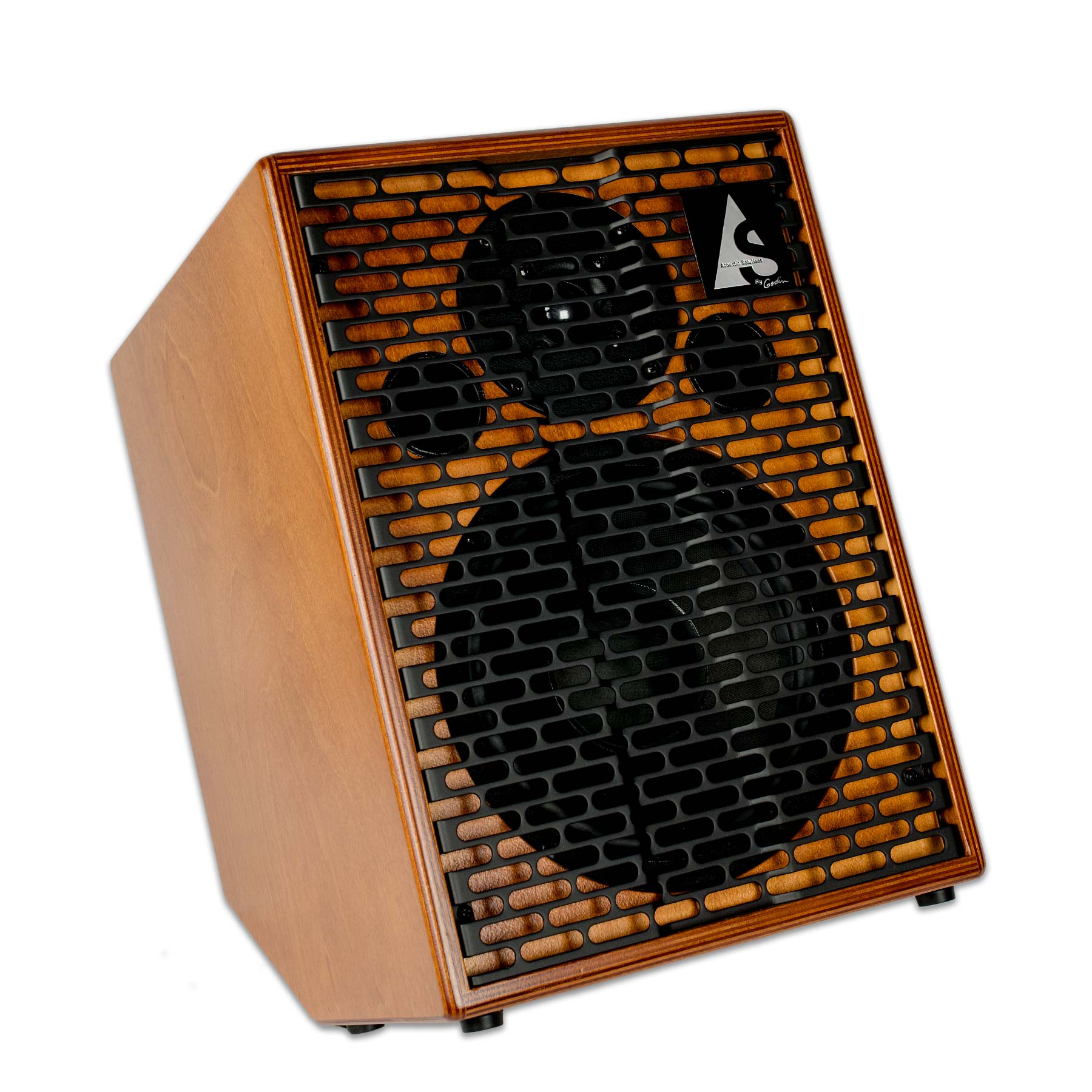 asg 150 acoustic amp