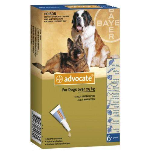 Bayer Advantage Multi For Dogs (Advocate) Paradise Petstore