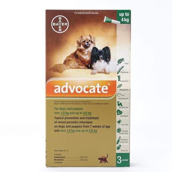 Bayer Advantage Multi For Dogs (Advocate) Paradise Petstore
