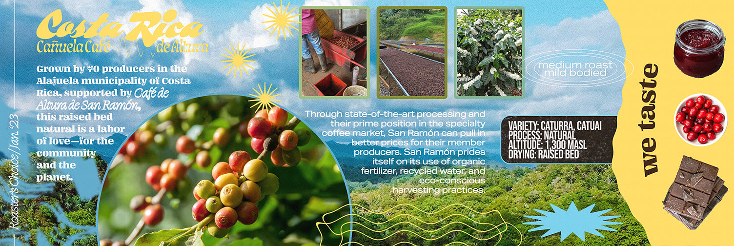 An infographic displaying origin information for Costa Rican Roaster's Choice.