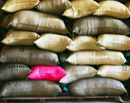 A hot pink coffee sack among other burlap-colored coffee sacks.