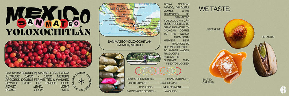 An infographic spread explaining a Mexican micro-lot coffee.
