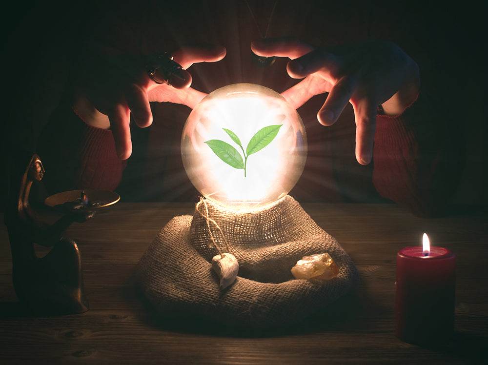 An image of a medium's hands around a crystal ball depicting a tea leaf.